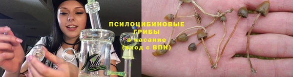 сатива Остров