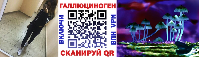 что такое Чекалин KRAKEN как войти Псилоцибиновые грибы мухоморы