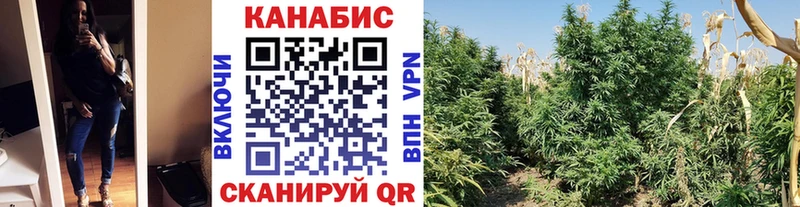 Марихуана White Widow Чекалин
